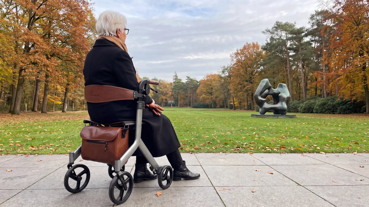Parvum Vesta in silver in a sculpture garden; a woman with white hair sits on the rollator and looks at a sculpture.